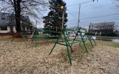 A Heartwarming Success: HHMA’s Tree Sale Sells Out for 2023!